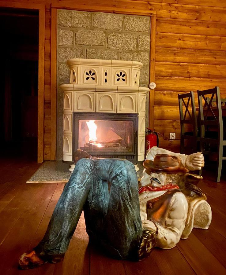 Leonardo Guesthouse Świeradów-Zdrój エクステリア 写真